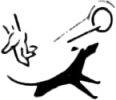 brand-logo